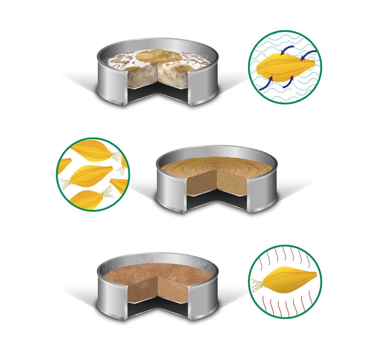 Malting Process