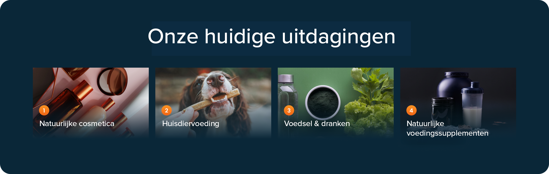 challenges_nl